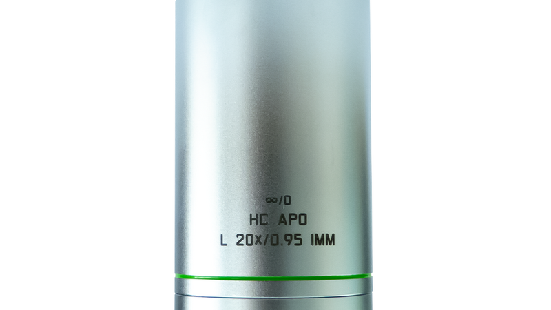 HC APO L 20x/0.95 IMM