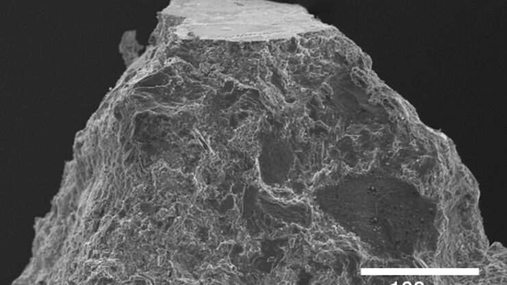 Section Surface, Concrete - surface fattened with diamond knife at room temperture, SEM image.