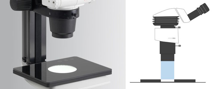 Back light illumination (BLI) provides transmitted lighting for parts and components with transparent areas.