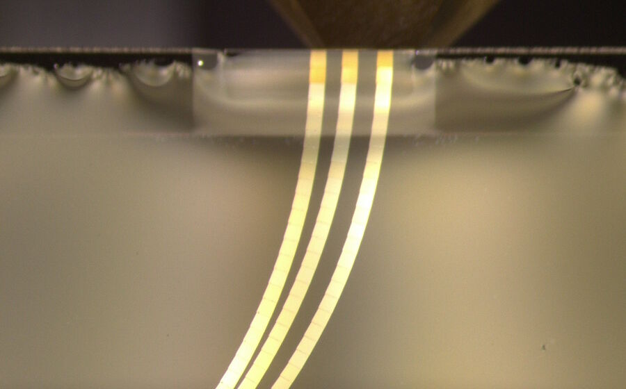 Figure 3: Three consecutive ribbons for Array Tomography, 30 sections each, 70 nm feed. The ribbons were prepared with UC Enuity Volume EM module. After automatically cutting the ribbons, UC Enuity added two release cuts of 100 nm thickness at the end of each ribbon.