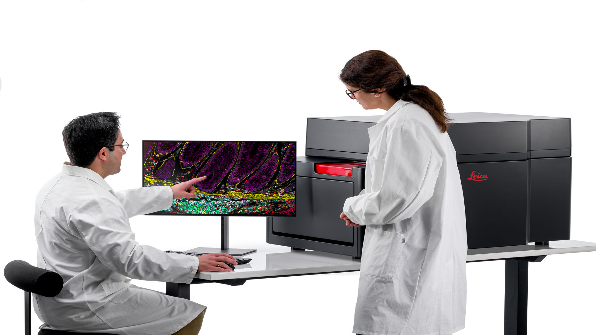 Multiplex Imaging Solution Cell DIVE
