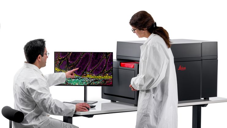 Multiplex Imaging Solution Cell DIVE