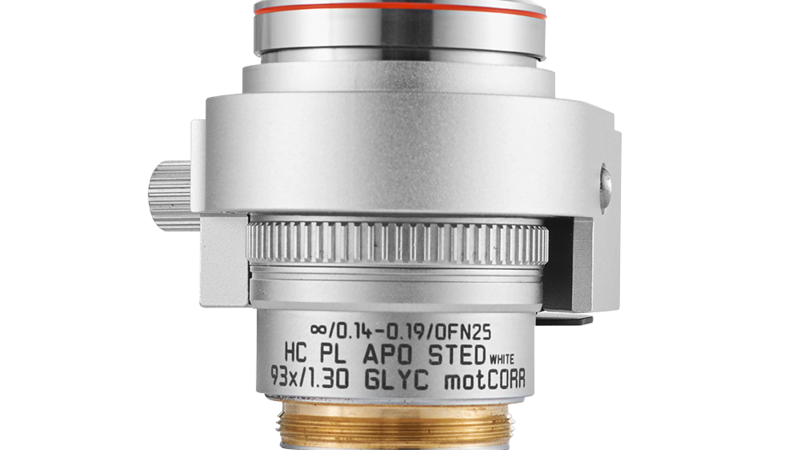 HC PL APO 93x/1,30 GLYC motCORR STED WHITE