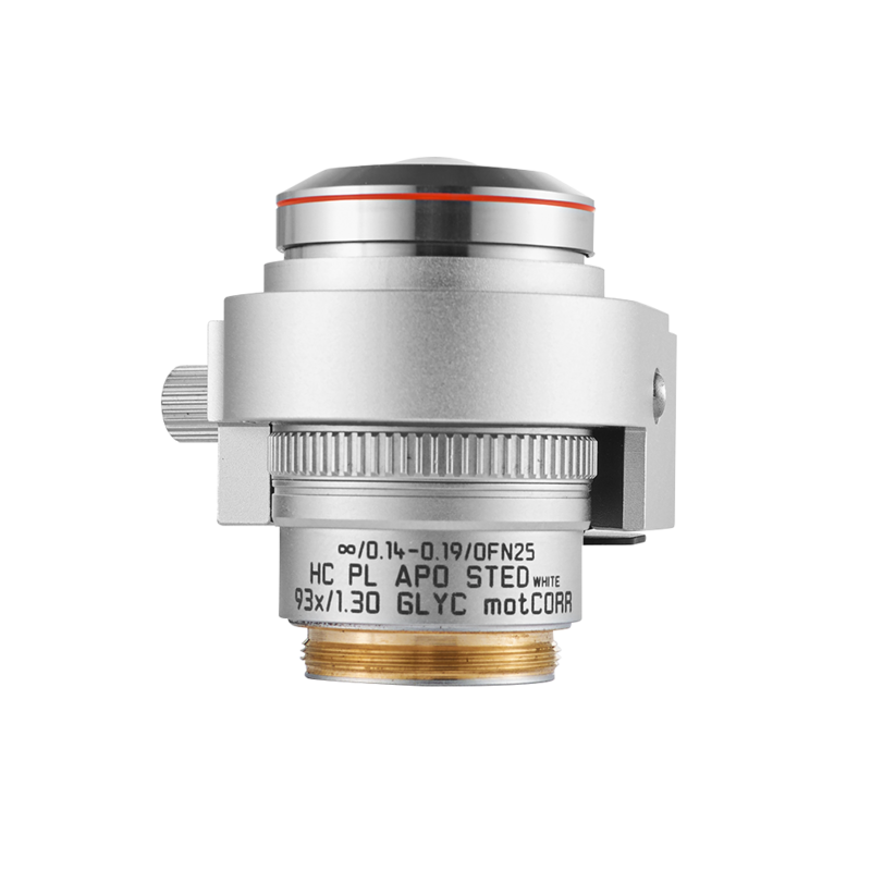 HC PL APO 93x/1,30 GLYC motCORR STED WHITE