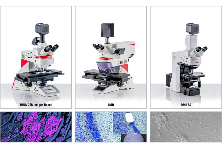 Tailored solutions with flexible configurations for diverse imaging needs.