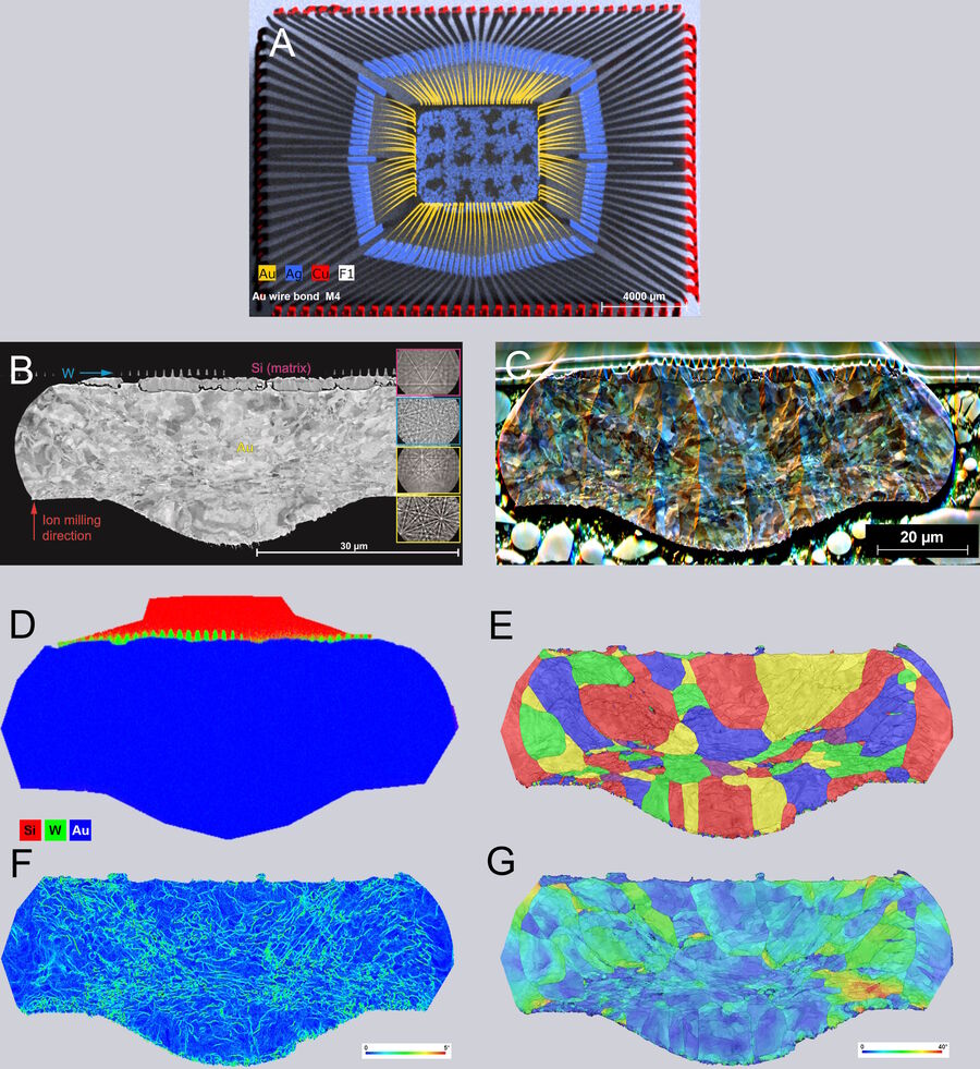 a) XRF (x-ray fluorescence) analysis of the processor where the area of interest concerning highly deformed Au wire is highlighted in red. b) BSE image of the Au-wire area of interest and EBSD patterns of the different areas, from top to bottom: Si, W, more deformed Au, and less deformed Au. c) ARGUS color-coded FSE image showing a bit of curtaining effect with the directions highlighted in yellow. d) EDS HyperMap from simultaneous EBSD/EDS analysis. e) EBSD grain size distribution in random color (98% indexing rate for Au). f) Misorientation average map showing the strain localization. g) Misorientation kernel map.