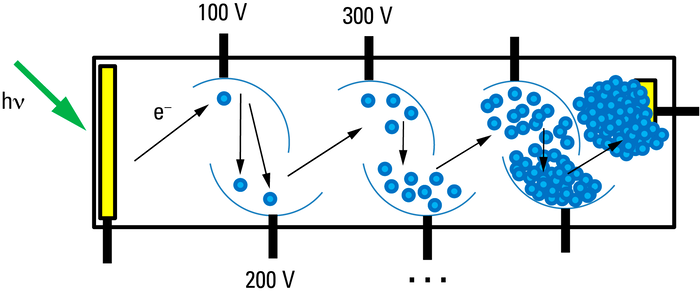 Fig. 3: Design and function of a photomultiplier tube (PMT). The photon (green arrow) is absorbed at the photocathode (yellow), triggering the release of a photoelectron there (blue). At the dynodes of the cascaded amplifier (here: 6 dynodes) the kinetic energy is converted into several free electrons (multiplication). At the end of the tube, the resulting charge is measured at an anode (yellow).