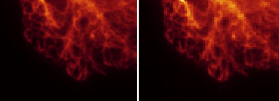 Binning. The image on the right was recorded with binning. The improved SNR is reached at the expense of resolution.