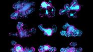 67-hour, multi-position time-lapse of mouse intestinal organoids expressing the cell cycle reporter FUCCI2 (hGem-mVenus and hCdt1-mCherry). 