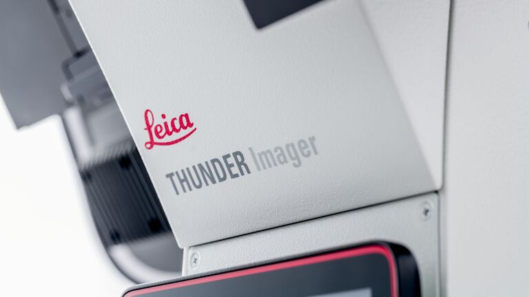 Leica THUNDER Imager Live Cell Detail 