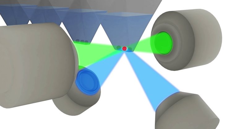 Graphic - Increased spatio-temporal resolution with dual Illumination and dual detection for single and multi-position experiments