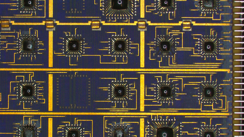 Inspection Microscopes | Applications | Leica Microsystems