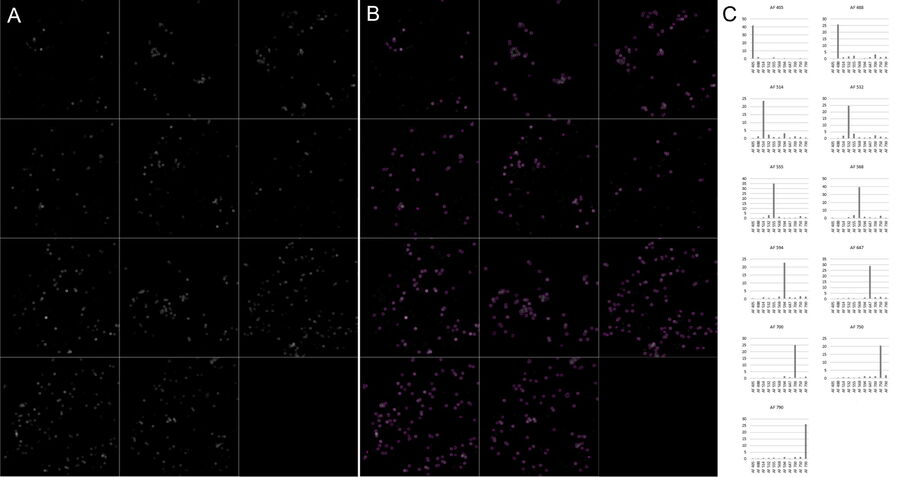 Assessment of the dye separation efficiency in the 11-color beads sample images.