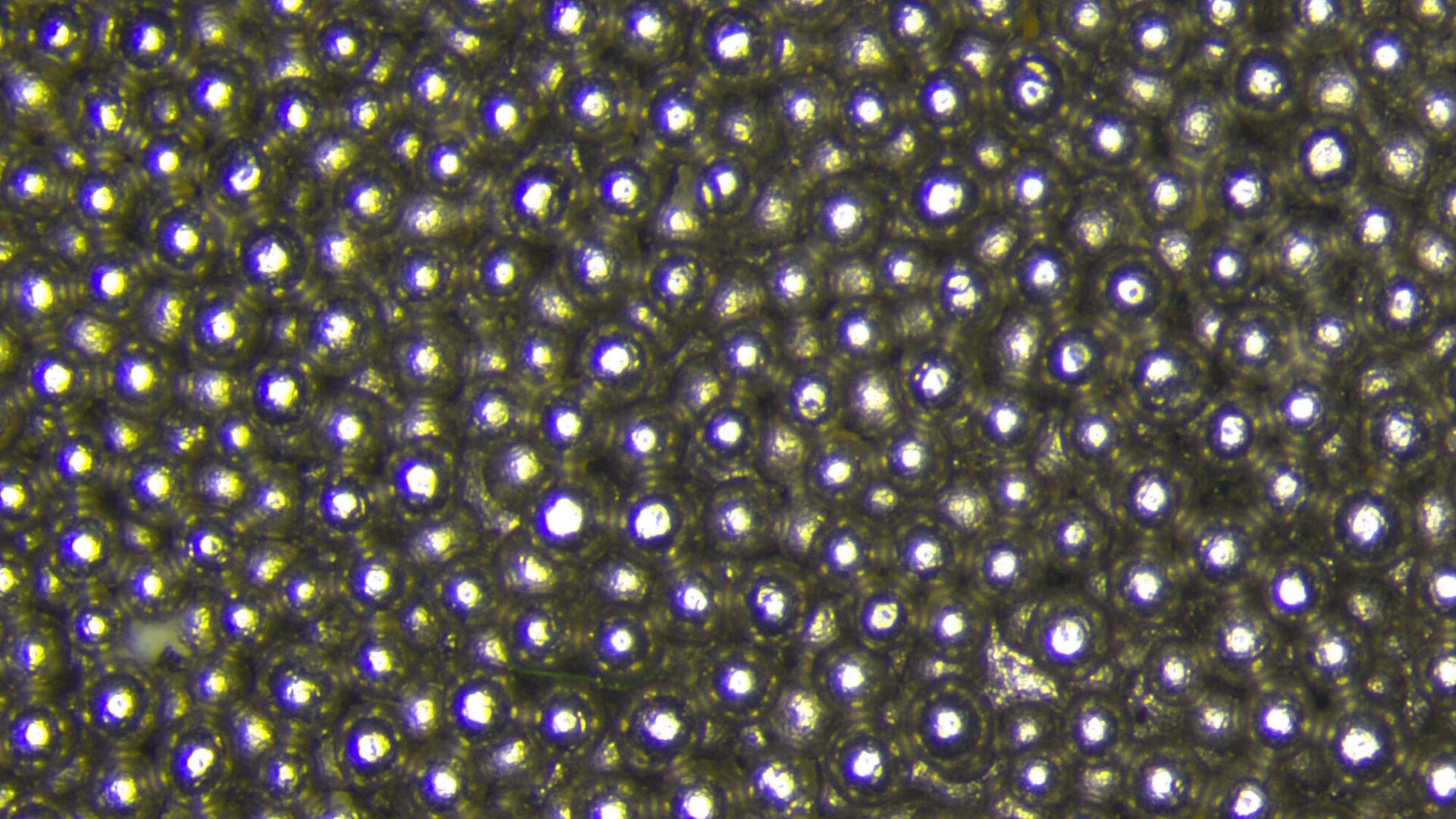  Hip implant - Ring Light (RL) with diffusor: Multiple sample characteristics