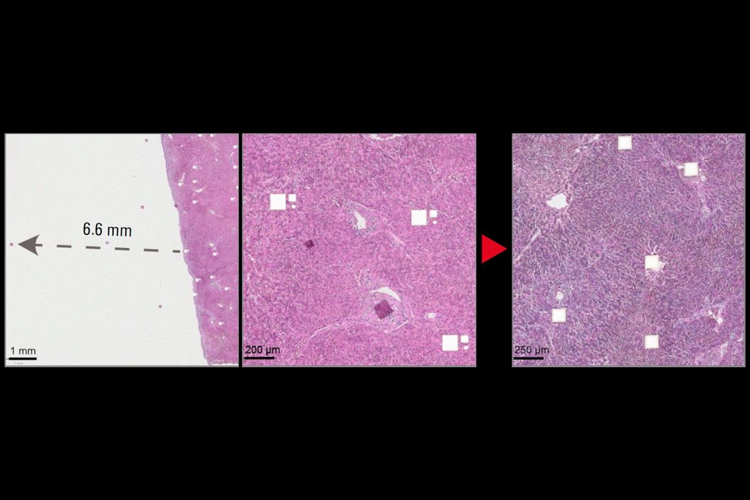 LMD ionizer before & after cut. LMD_ionizer_befor_after_cut.jpg