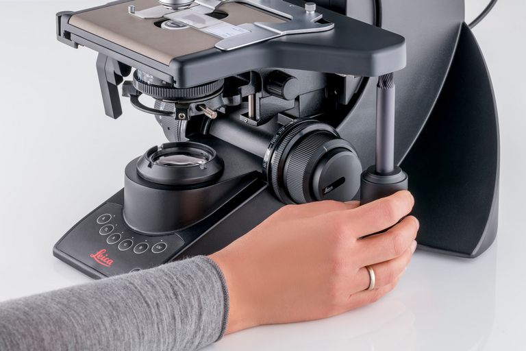 The XY stage position and focus knobs are easily accessible and adjustable with one hand.