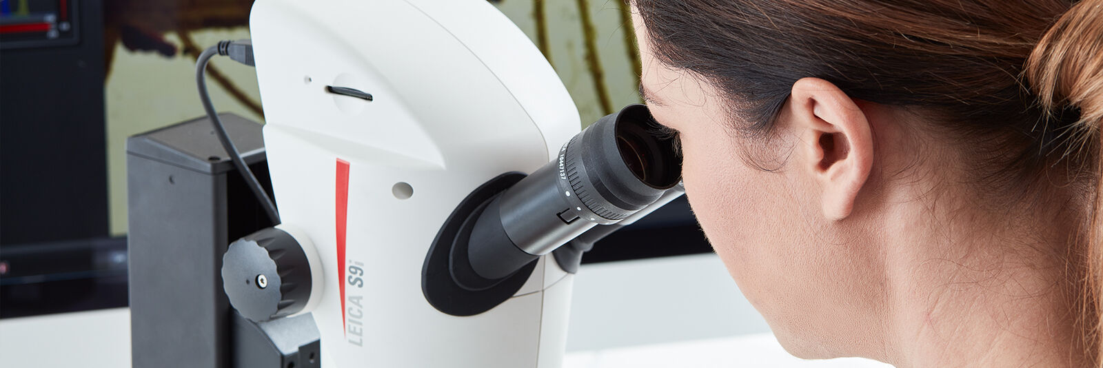 Dissecting Microscopes Applications Leica Microsystems