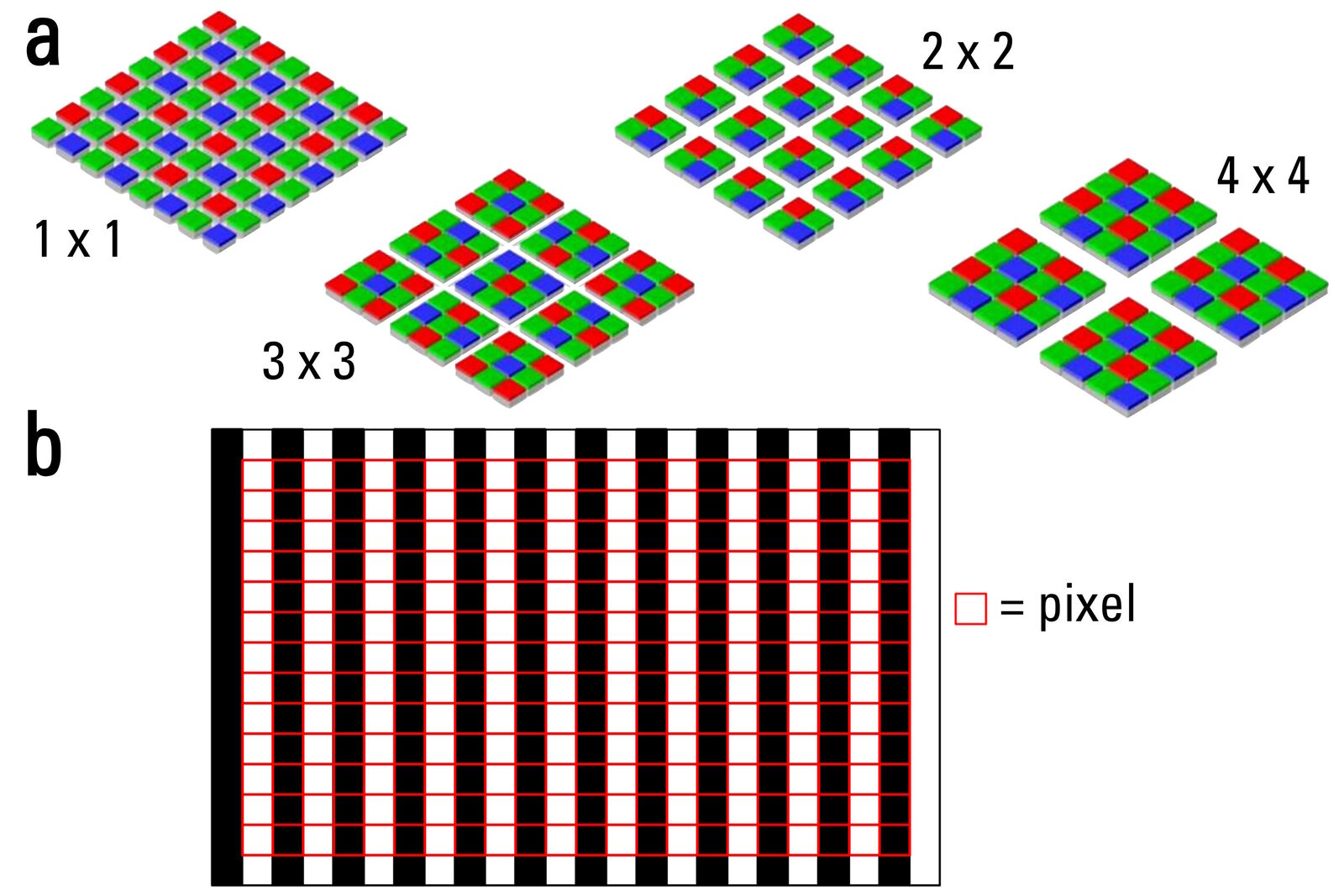 Understanding Clearly the Magnification of Microscopy Science Lab