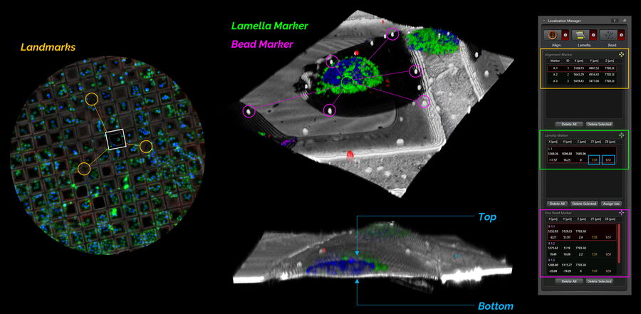 [Translate to chinese:] Coral Cryo- Software module. Landmarks, lamellae and bead markers can be defined within the software workflow.