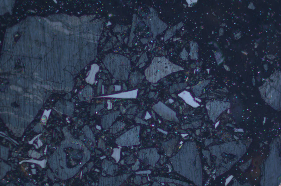Different macerals of the vitrinite group