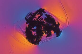 Fig. 5a: Recrystallised zirconium oxide forms typical crystal aggregates in a knot. Glass inclusion with high photoelasticity in the surrounding glass, transmitted light polarisation contrast + lambda plate, HC PL Fluotar 5x, image width: 2 mm. 