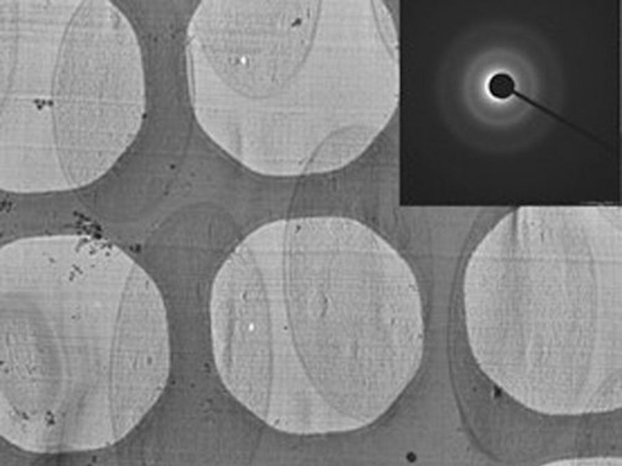 CEMOVIS image of yeast (Saccharomyces cerevisiae). Courtesy of Al-Amaudi A, DZNE, Bonn, Germany.