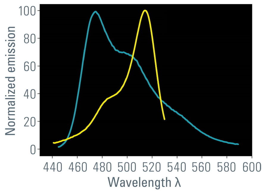 Abbildung 1: Das Emissionsspektrum des Donors (hier ECFP, blaue Linie) muss sich mit dem Anregungsspektrum des Akzeptors (hier EYFP, gelbe Linie) überschneiden. Diese Voraussetzung bedeutet, dass beide Moleküle im FRET-Paar kompatible Energieniveaus