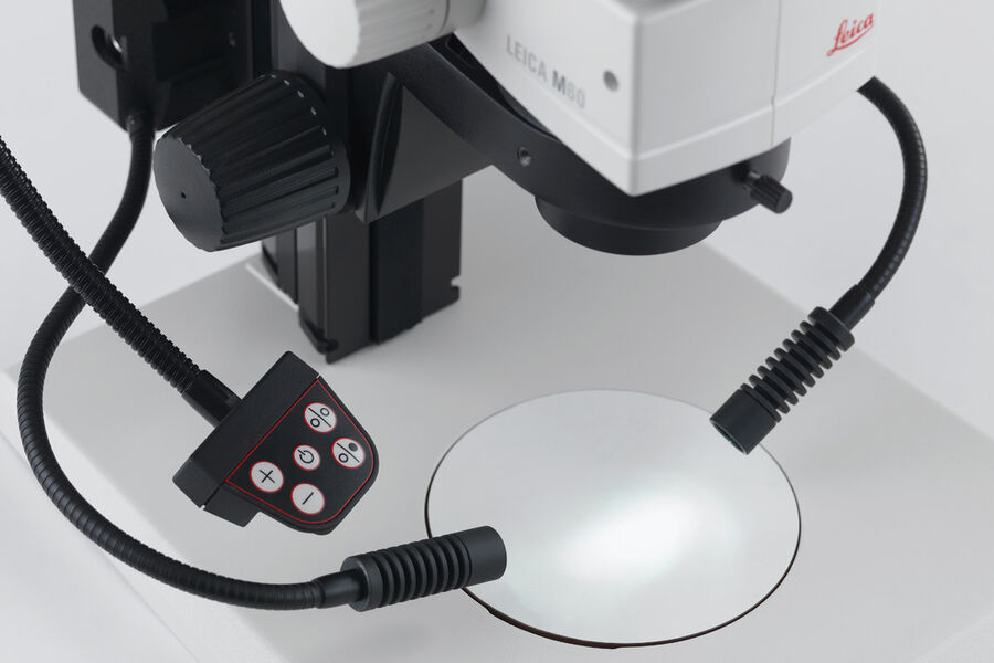 Stereomicroscopi di routine M50, M60 & M80: Luce spot o illuminazione a collo di cigno LED3000 SLI e LED5000 SLI