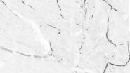 Tile scan of large intestine of an anasthesized mouse.