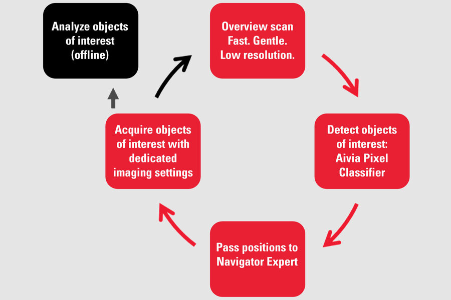 Fig 1: Rare event detection workflow