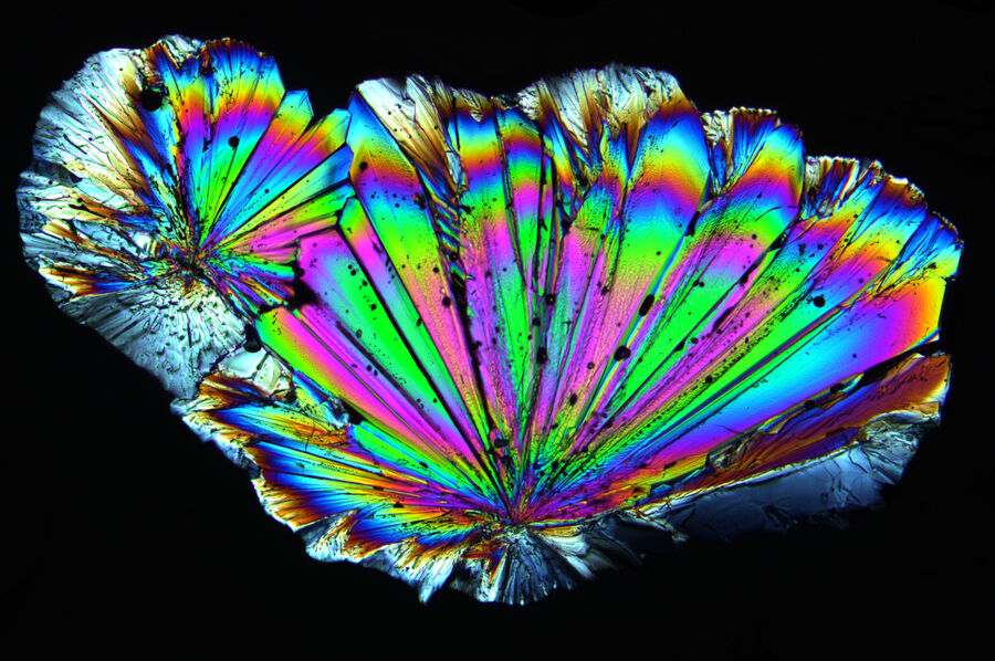 Radially grown sugar crystals imaged with circular polarized light