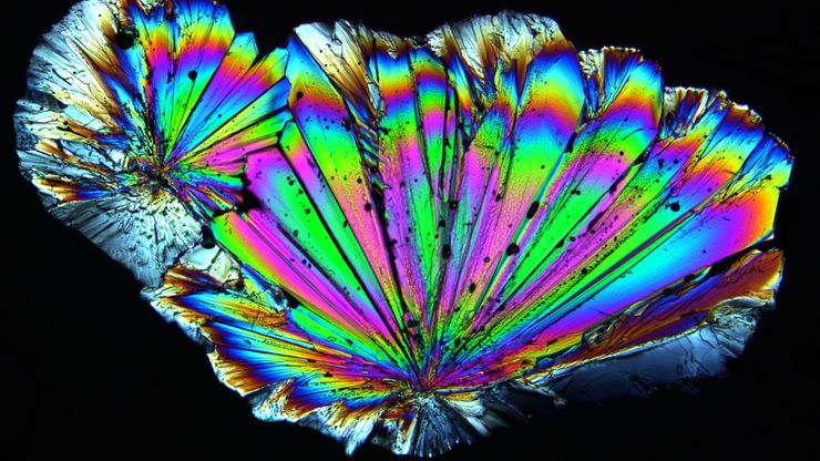 Radially grown sugar crystals which have been imaged with a Leica microscope using circular polarized light.