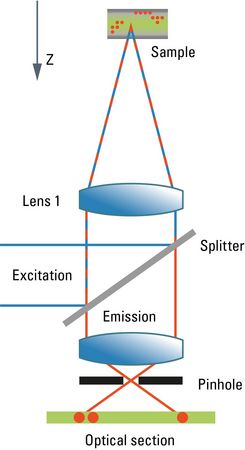Schematic diagram of confocal scanning microscope, showing how the pinhole reduces out-of-focus light.