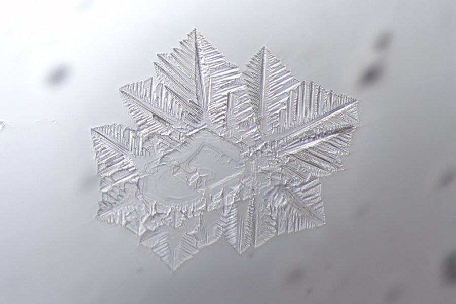 Tridymite dendrites are seen here in their typical formation as glass inclusions. Image was acquired with transmitted light, brightfield contrast, and oblique illumination for contrast enhancement using a HC PL Fluotar 10x Pol objective. The image width is 1 mm.