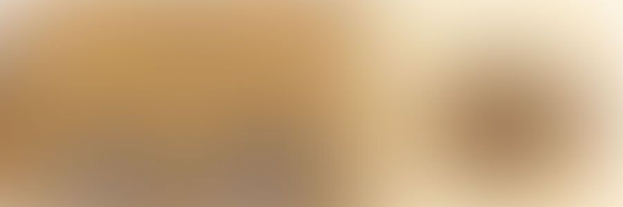 EM VCT500 Vacuum Cryo Transfer System | Products | Leica Microsystems