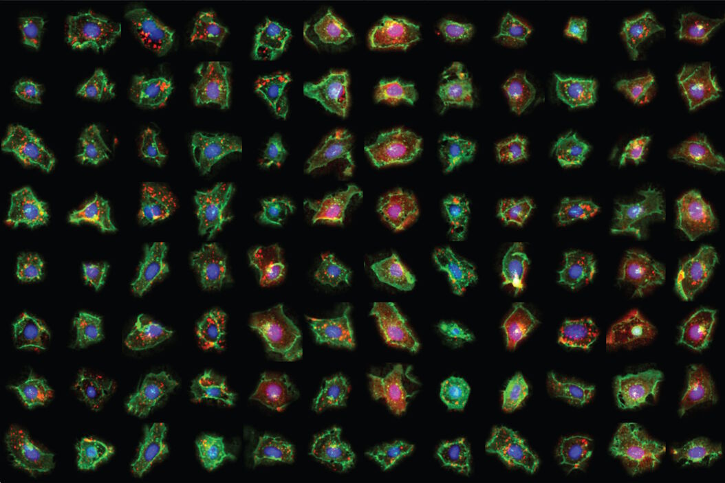 [Translate to chinese:] Single cell datasets Single_cell_datasets_SPARCS.jpg