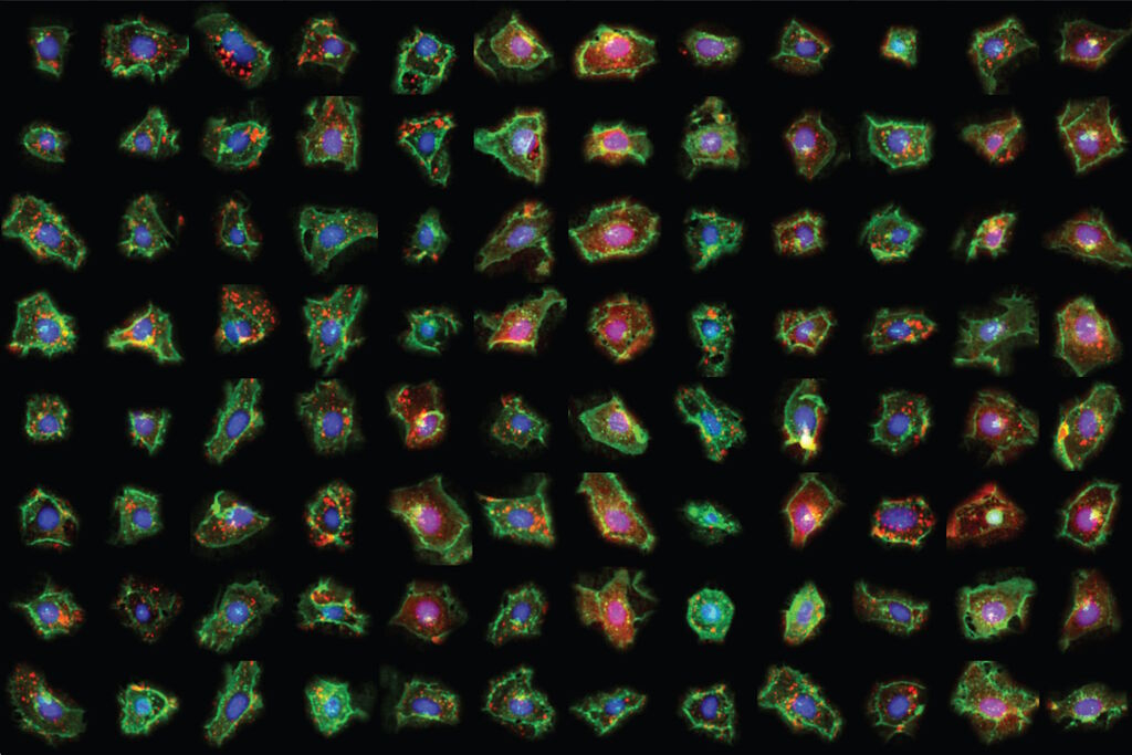 Exploring Subcellular Spatial Phenotypes with SPARCS | Learn & Share ...