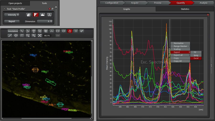 Displaying and exporting spectra from user-defined regions of interest (ROIs) of the image.