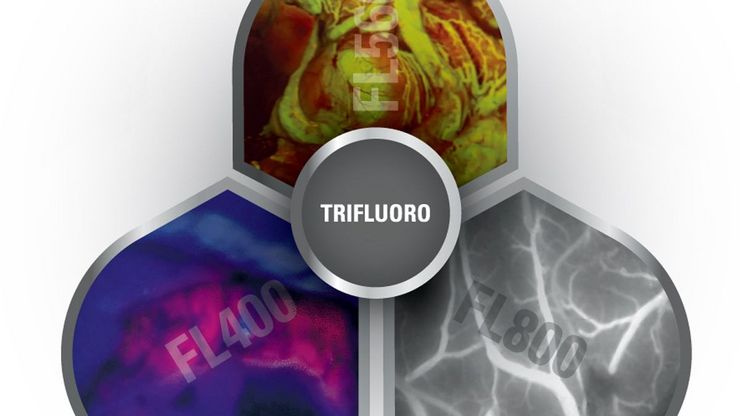 Csm Trifluoro D86e69b8a5