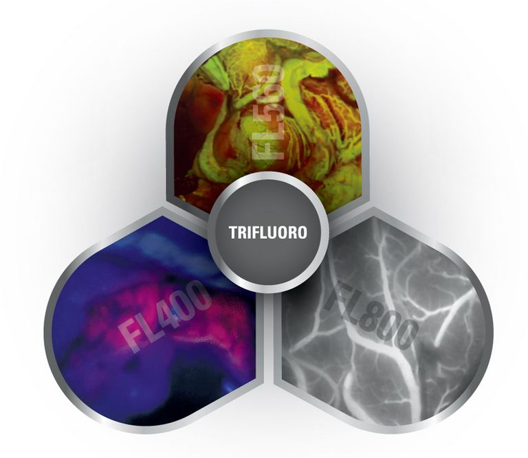 The M530 OHX microscope features TriFluoro technology, enabling up to three modes of integrated ﬂuorescence in a single microscope.