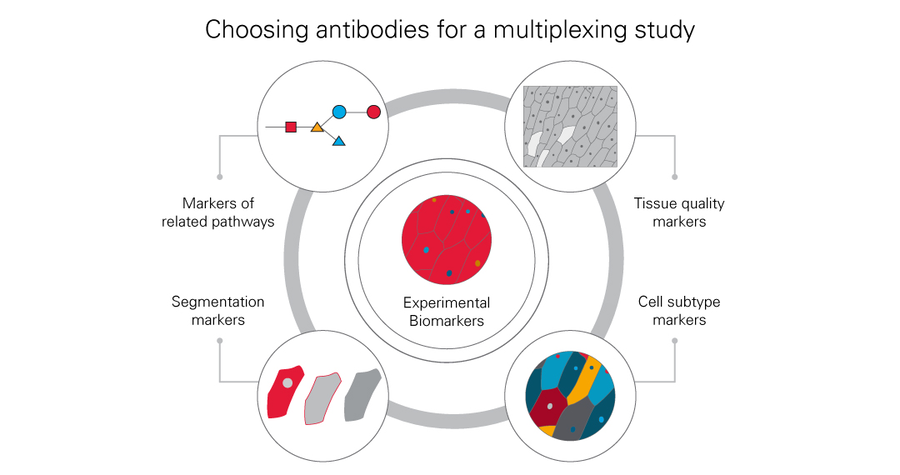 Choosing biomarker targets for studies