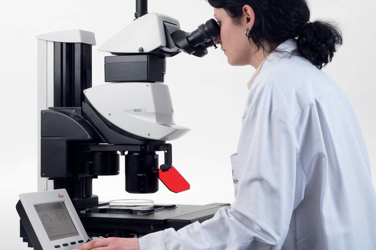 Leica M205 FA fully motorized fluorescence stereo microscope Leica M205 FA fully motorized fluorescence stereo microscope