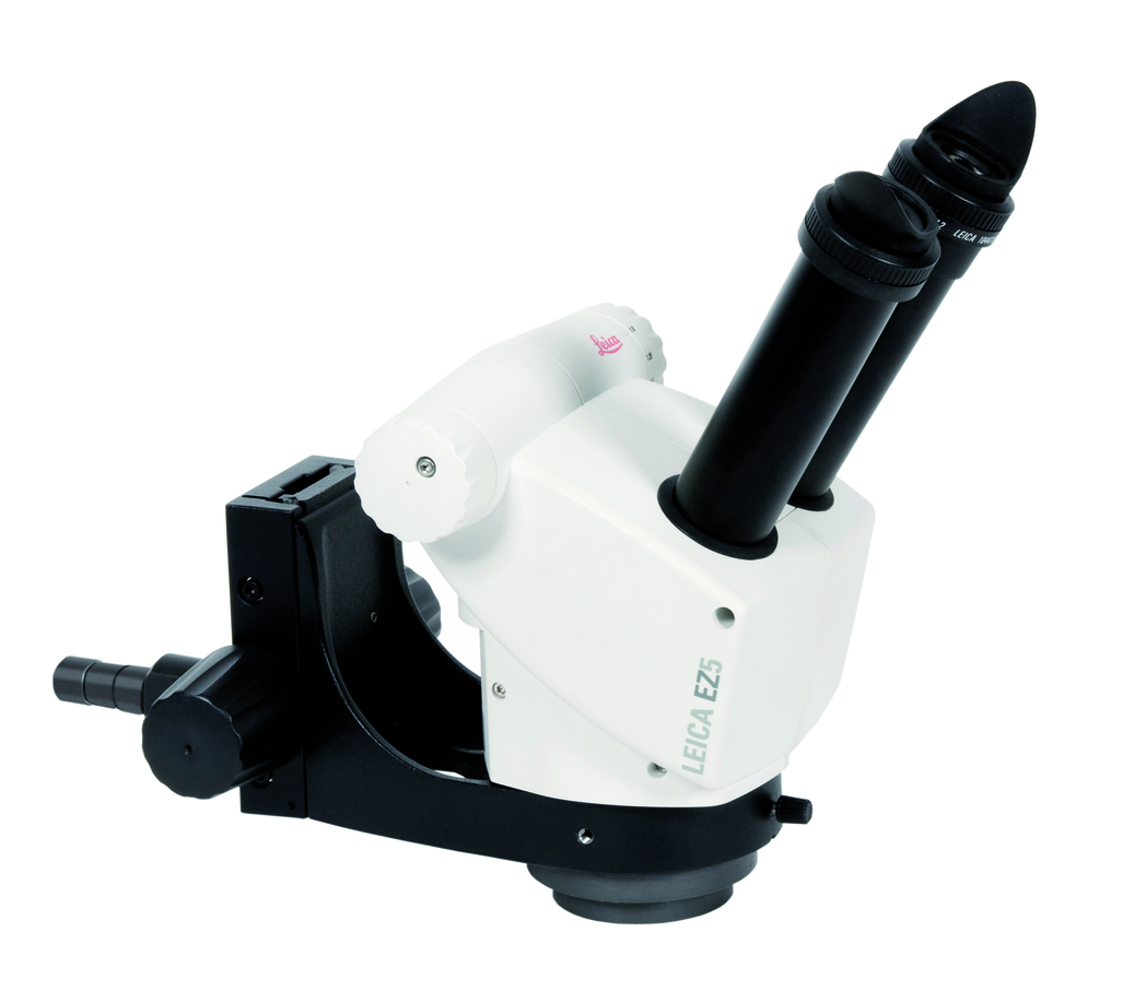 The Leica EZ5 stereomicroscope. The Leica EZ5 stereomicroscope.