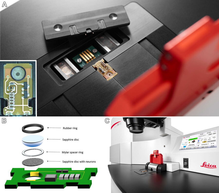 A) Inset shows loading of the middle plate through the stereo microscope. B) Loading of the sapphire sandwich for electrical stimulation. C) Lateral view of stereomicroscope- assisted sample loading. D–I) Loading of the different components as seen through the stereo microscope.