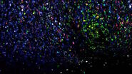 Application example of hyperspectral imaging