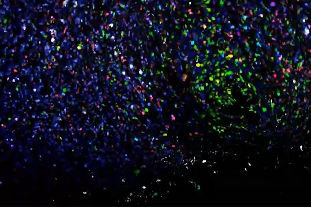 [Translate to chinese:] Application example of hyperspectral imaging TNBC_LeGO_primary_tumor.jpg