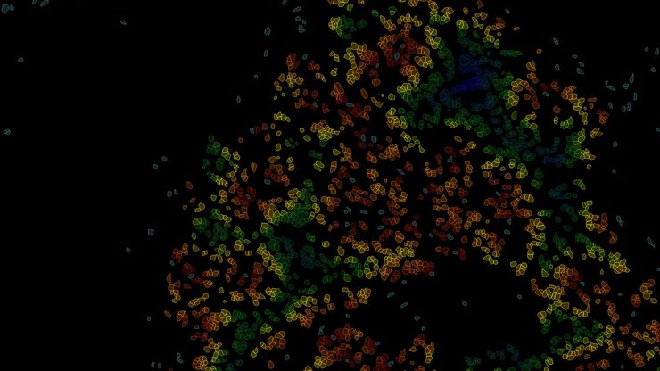 Example of the heat map of the nearest neighbor between Cluster 3 to 12 by Aivia Software