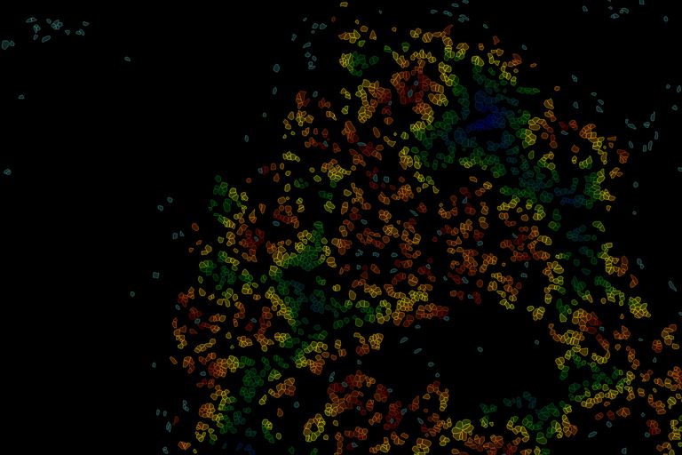 An example of the heat map of the nearest neighbor between Cluster 3 (cyan cells) to Cluster 12 (rainbow heatmap) with the nearest cells in red, the furthest cells in blue.