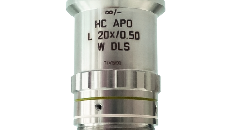 HC APO L 20x/0,50 W DLS
