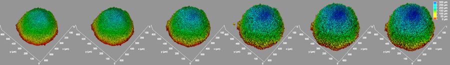 A 3D-volume-rendered light-sheet microscope image of a spheroid showing depth coding in different colors.